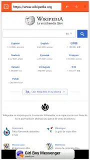 FQW Browser Screenshot 3