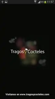 Tragos y Cocteles Screenshot 8