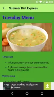 Summer Diet Express Screenshot 7