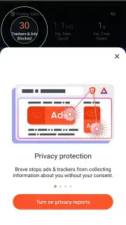 Brave Browser Screenshot 10