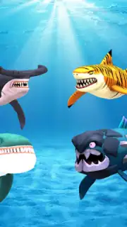 My Shark Show Screenshot 13