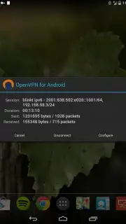 OpenVPN Screenshot 10
