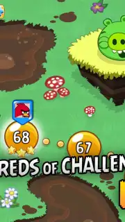 Angry Birds Screenshot 6
