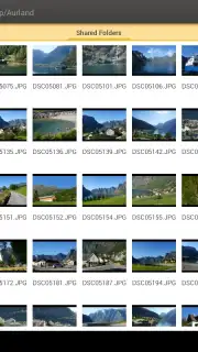 DS file Screenshot 10