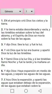 Santa Biblia para la Mujer Screenshot 4