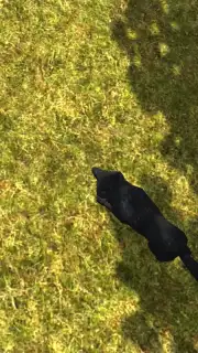 Wild Life: Wolf Clan Screenshot 1