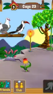 Birdland Paradise Screenshot 8