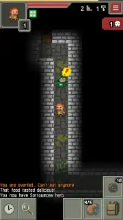 Yet Another Pixel Dungeon Screenshot 4