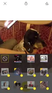 V Camera Screenshot 8