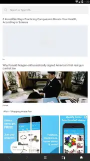 Goldeness Browser Screenshot 6