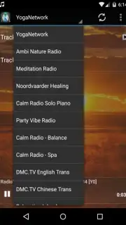 The Reiki Channel Screenshot 2