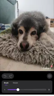 CollartAI Screenshot 6