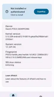 APatch Screenshot 12