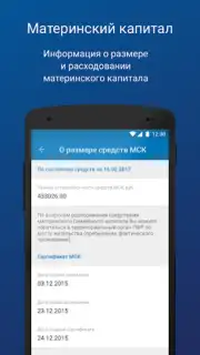 ПФР Электронные сервисы Screenshot 1