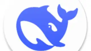 DeepSeek