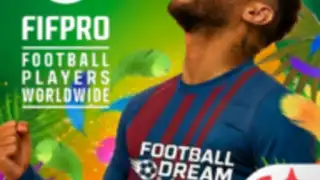 Football Dream: Be a Pro