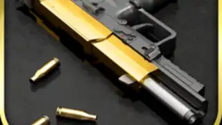 iGun Pro