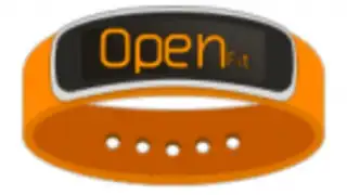 Open Fit