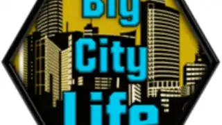 Big City Life : Simulator