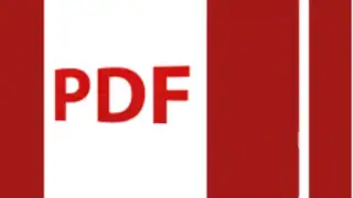 PDF Viewer