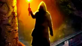 Tomb Survivor