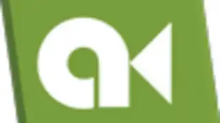 Anfish