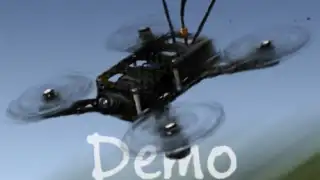 Freerider