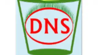 Flush DNS