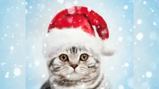 Christmas Pho.to Frames