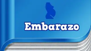 Diccionario del Embarazo