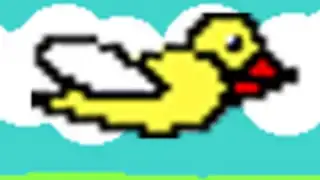 Flying Bird