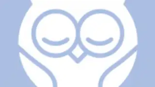 Owlet Dream