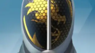 FIE Swordplay
