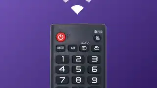 Universal TV Remote for Roku & All TV