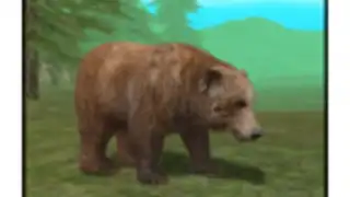 Wild Bear Simulator 3D