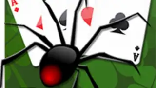 Spider Solitaire World