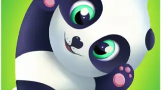 Pu - Cute giant panda bear