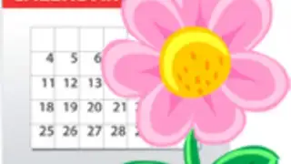 Women’s diary
