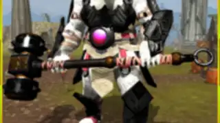 Angry Bear Fighter