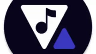 ViTune