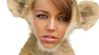 Image Faker