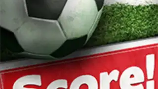 Score! World Goals