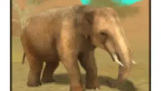 Wild Elephant Sim 3D