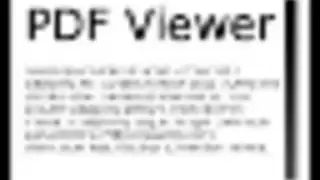 APV PDF Viewer