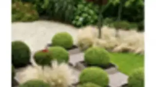 Garden Design Ideas