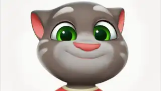 Talking Tom Cat