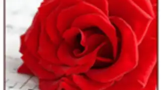Romantic Love Pics