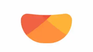POMELO Camera