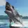 Great White Shark Survival