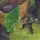 Stormfall: Saga of Survival